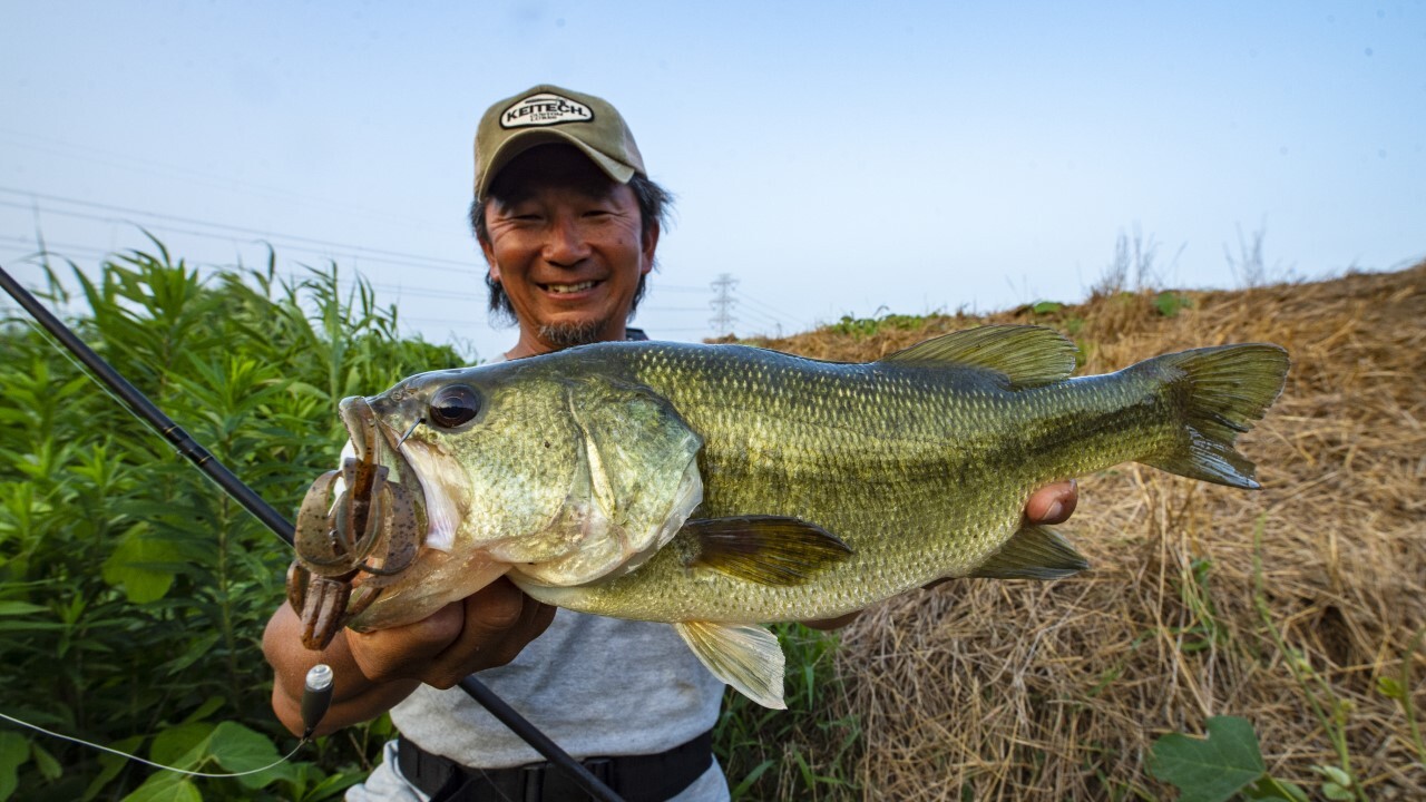 霞ヶ浦水路群でフリップ一本勝負 オカッパリからヘビーカバーを攻略